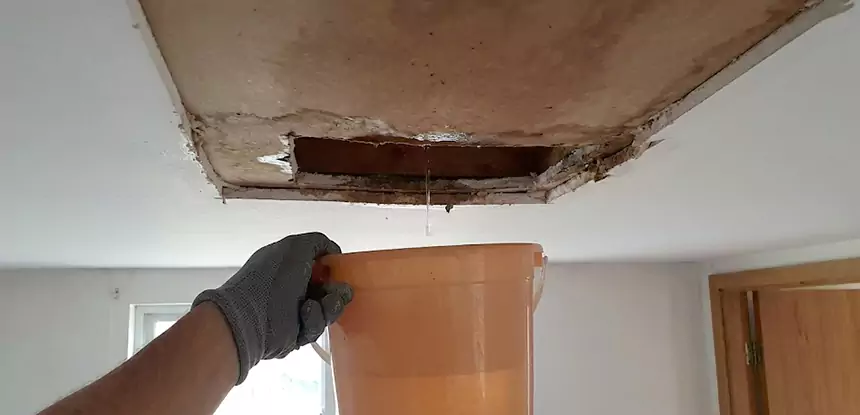 Ceiling Mold Repair Kennesaw